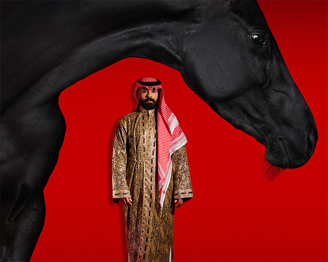 man with horse photography